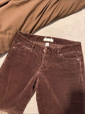 Corduroy Women’s Jeans in Brown